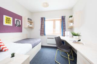 Only Students, Private Ensuite in an Apartment - Londra - 8