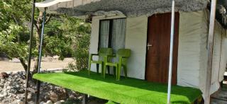 Hinwali Kanthi River Side Camp and Cottage - Harsil - 6