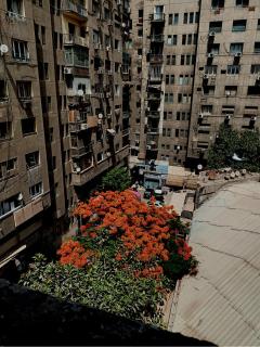 Noor Hotel - فندق نور - Il Cairo - 1
