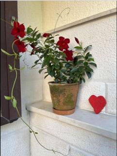 Apartment Eudaimonia - Split - 1