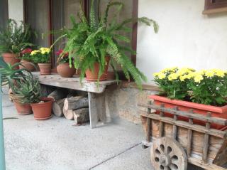 Casa Rural del Corral - Malpartida de Plasencia - 5