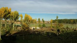 Cueva Restaurante Itariegos - 8