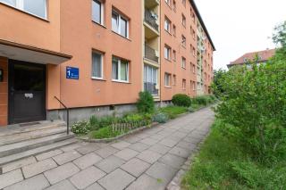 Venti Kocurki Gdańsk - Danzica - 2