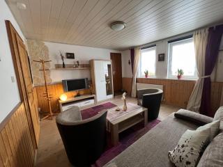 Gemuetliche-Ferienwohnung-Nr-1-im-Harz-fuer-max-4-Personen - Sieber - 9