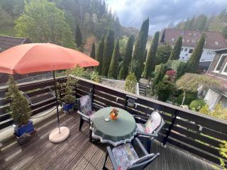 Gemuetliches-kleines-Ferienhaeuschen-Nr-3-im-Harz-fuer-max-3-Personen-inkl-Balkon - Sieber - 3