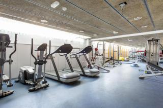 Resa Emperador Carlos V - Granada - 1