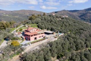 Casa Perlei - 3