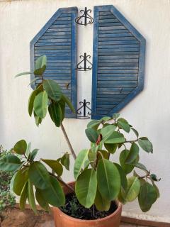 Casa Coco No 11 - Polopos - 2