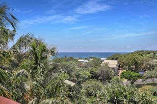 Cylinder Palms - Point Lookout - 7