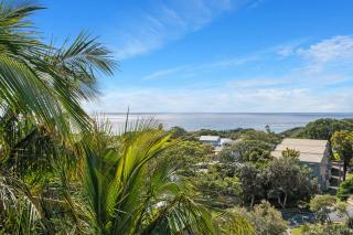 Cylinder Palms - Point Lookout - 3