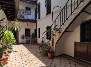 Patios de Triana - El Corral de la O - Seville - 7