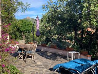 Le jardin suspendu - Collioure - 9