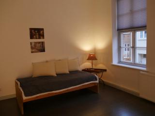 Helle, geräumige 3-Zimmer Wohnung in Lüneburgs Zentrum - Luneburgo - 4