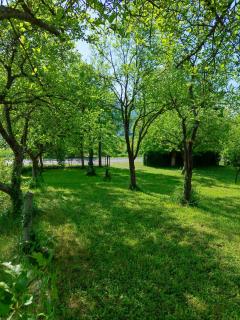 Apartmani Lohovo - 8