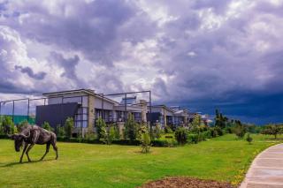 Tufaha Resort - 0