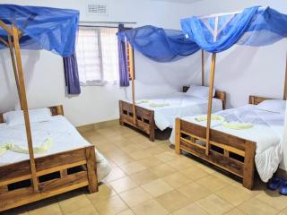 STC Domus Aurea Safaris - Oldeani - 2