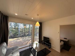 Kotimaailma - Uusi rivitalokolmio saunalla # 4 - 4