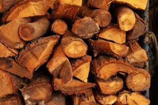 Die Spreewaldbetten - Bauernhof - Schmogrow - 3