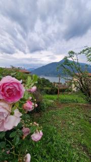 villetta con giardino privato - Cremia - 2