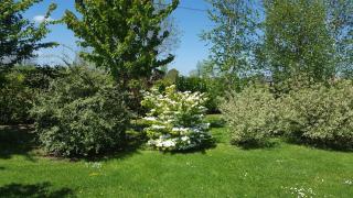 Gîte d'Anne et Ulysse - 5