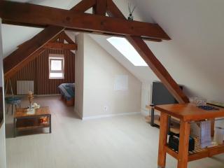 Appartement cosy proche centre - Colmar - 6