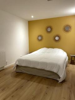 Appartement en hyper centre avec chambre en souplex - 2