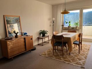 Großzügige Wohnung mit Flair und Aussicht - Bad Bergzabern - 2