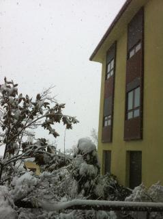 Mirasierra - Bustarviejo - 3