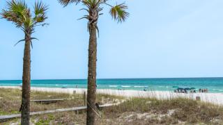 Villas Bahama West 106 - Panama City Beach - 4