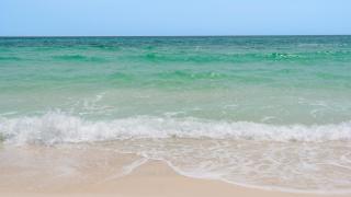 Villas Bahama West 106 - Panama City Beach - 2