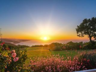 Hilltop Boutique Hotel - Victoria Bay - 0