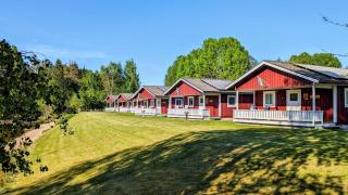 Liten uggla - Dalskog - 1