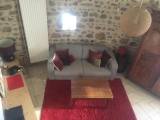 Gite vigneron nature - Montaigut-le-Blanc - 7