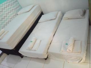 Bosque dos Esquilos - 4