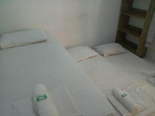 Bosque dos Esquilos - 6