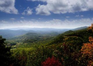 Black Bear Lookout By Stony Brook Cabins - Gatlinburg - 8