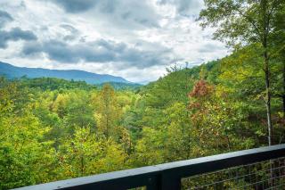 Country Bear Hideaway By Stony Brook Cabins - 9