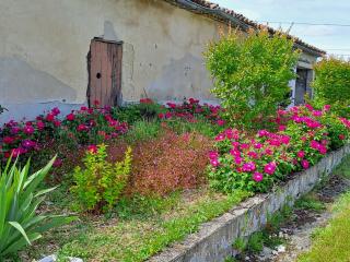 La Garenne - Virazeil - 3
