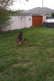 Les Sycomores Appartement privé avec jardin - Sisteron - 6