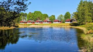 Glad hund - Dalskog - 9