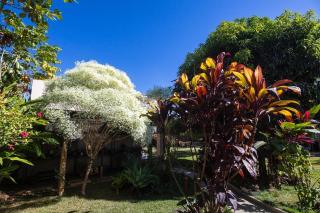 Hotel Pousada das Flores - 5