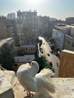 Cecilia Hostel - Cairo - 5
