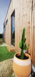 Chez Aurel et Nico. - 9