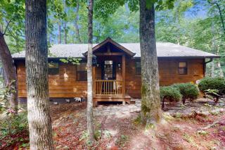 Bear Necessity Cabin - Hiawassee - 8