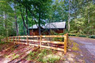 Bear Necessity Cabin - Hiawassee - 6