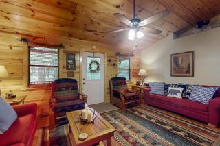 Bear Necessity Cabin - Hiawassee - 2