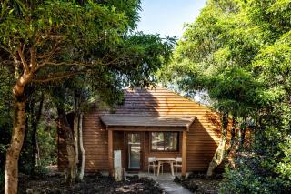 Alma do Pico - Nature Residence - Madalena - 2