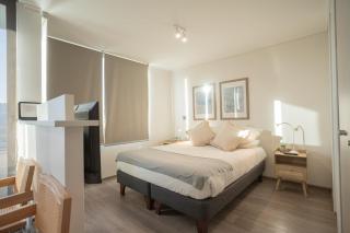 Explora el encanto unico de Barrio Italia - Santiago - 8