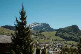 Apartment im Chalet zum Rad - 9