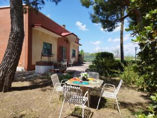 Litta - Collepasso - 0